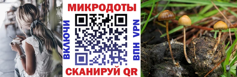kraken вход  Инта  Галлюциногенные грибы GOLDEN TEACHER 