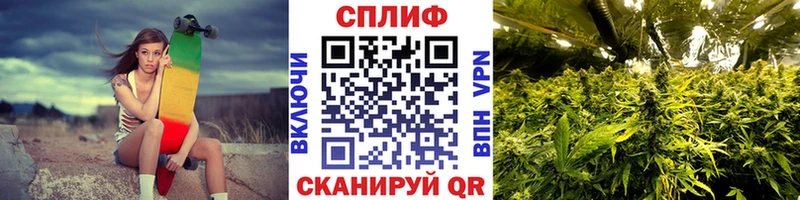 Бошки Шишки марихуана  Инта 